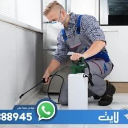 أرخص خدمات مكافحة الحشرات بالدمام