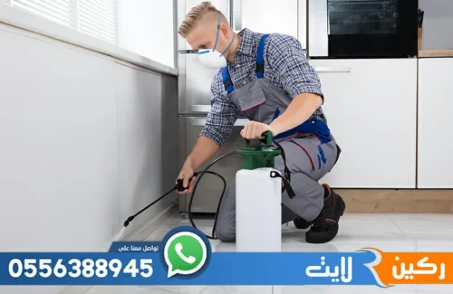 أرخص خدمات مكافحة الحشرات بالدمام