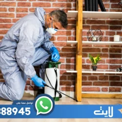 شركة مكافحة الفئران بالدمام