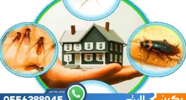 عقد مكافحة حشرات بالدمام