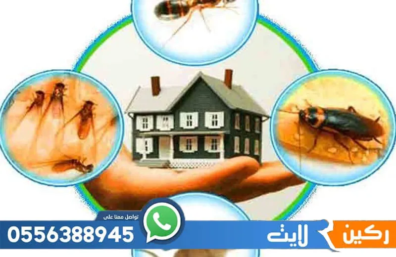 عقد مكافحة حشرات بالدمام