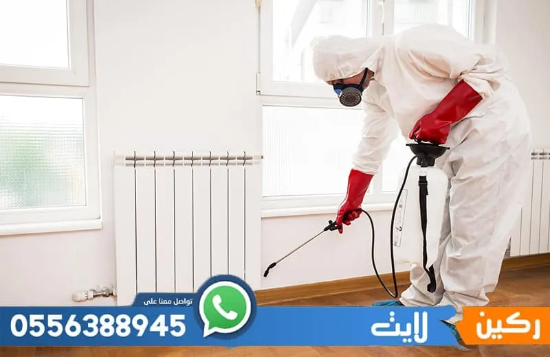 عقد مكافحة حشرات بالمدينة المنورة