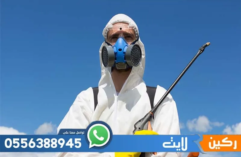 عقد مكافحة حشرات بالمدينة المنورة