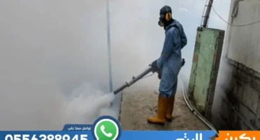 عقد مكافحة حشرات بالمدينة المنورة
