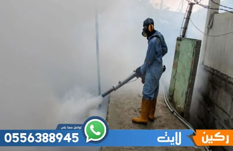 عقد مكافحة حشرات بالمدينة المنورة