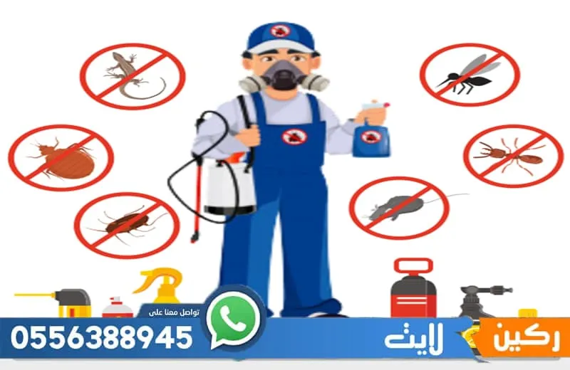 عقد مكافحة حشرات بجدة